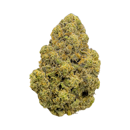 Lemon Meringue Whole Flower-01