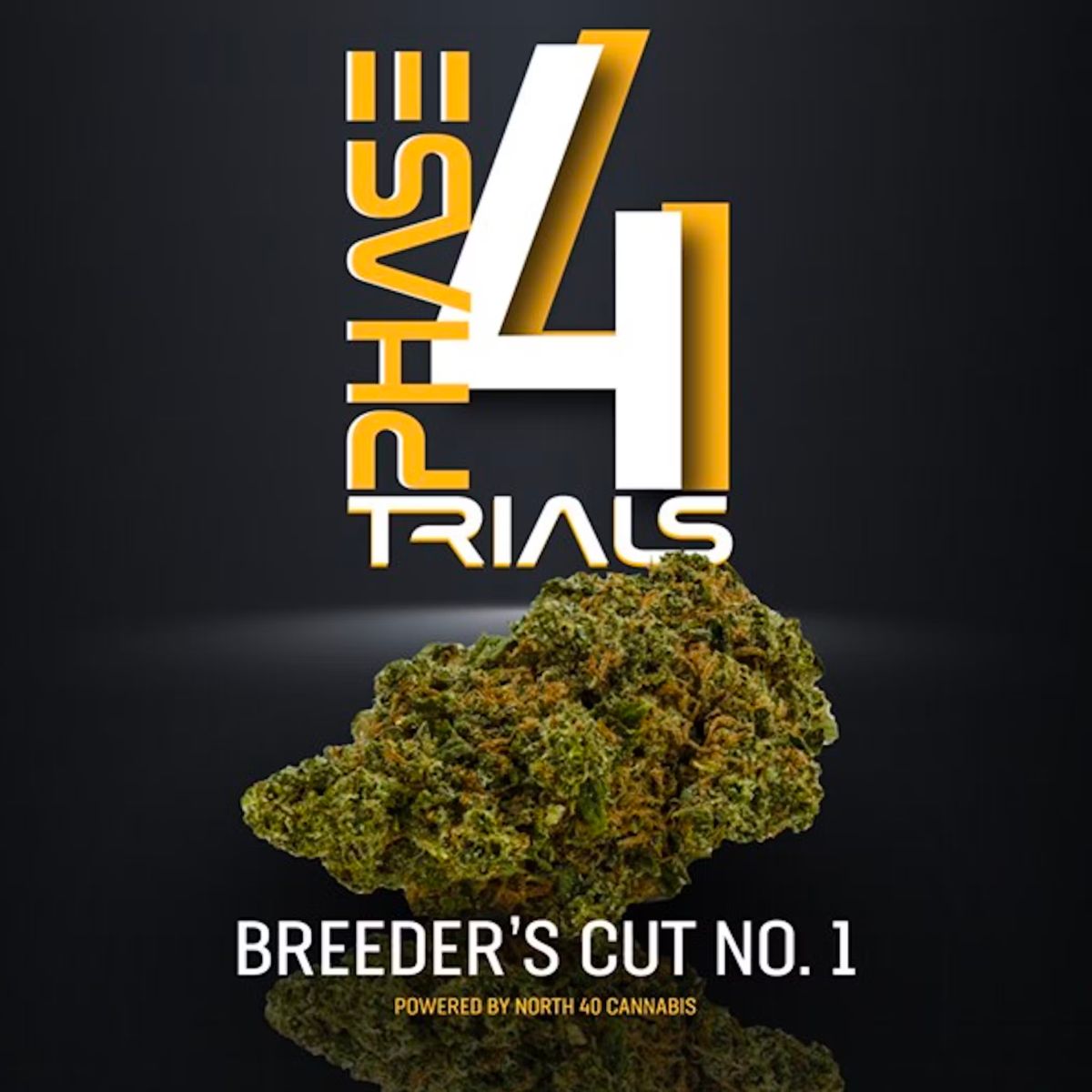 Phase 4 Trials Breeders Cut #1 Flower-01