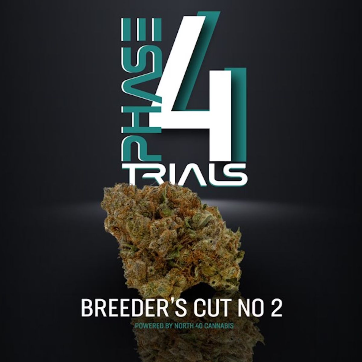 Phase 4 Trials Breeders Cut #2 Flower-01