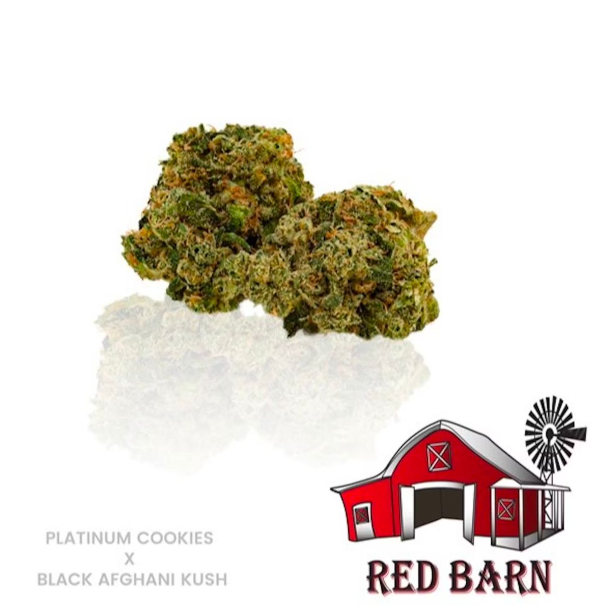 Platinum Cookies x Black Afghani Kush-01