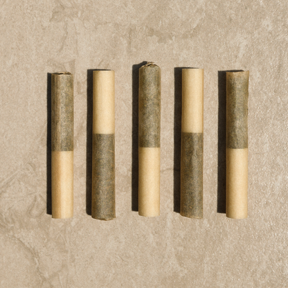 Refresh™ - CBG + CBD 210 Citrus Orange Terpene Infused Pre-Rolls-02