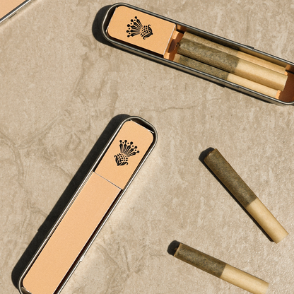 Refresh™ - CBG + CBD 210 Citrus Orange Terpene Infused Pre-Rolls-03