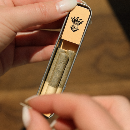 Refresh™ - CBG + CBD 210 Citrus Orange Terpene Infused Pre-Rolls-04