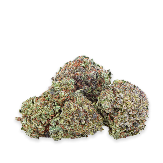 Rotterdam Indica-01