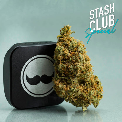 Stash Club Double Dream-02