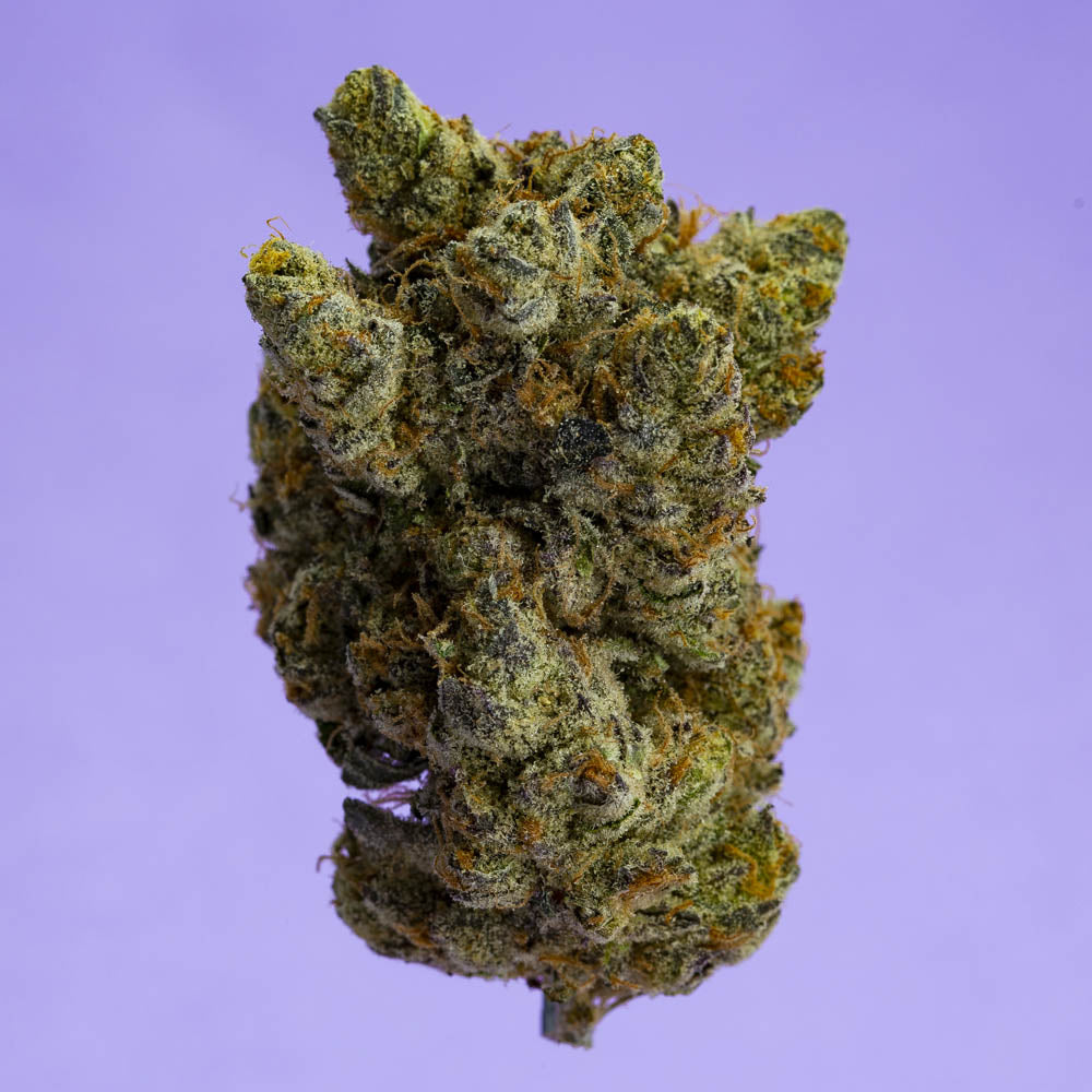 Stash Club Grape-01