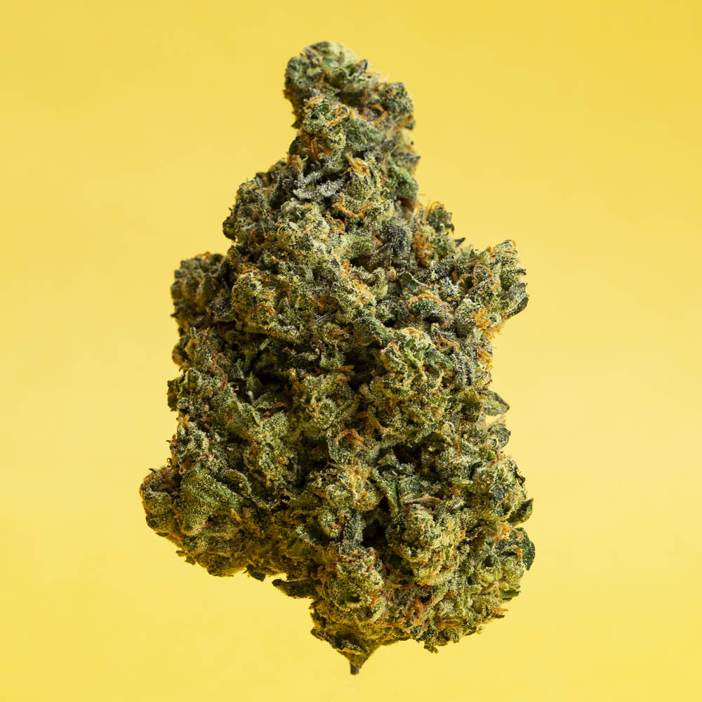 Stash Club Lemon-01