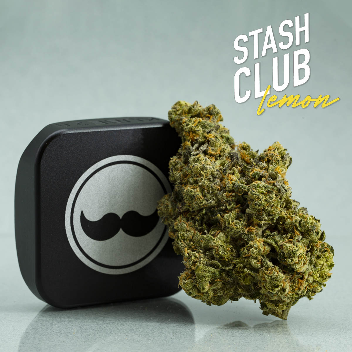 Stash Club Lemon-02