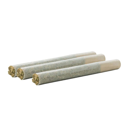 Valhalla Pre-Rolls-01