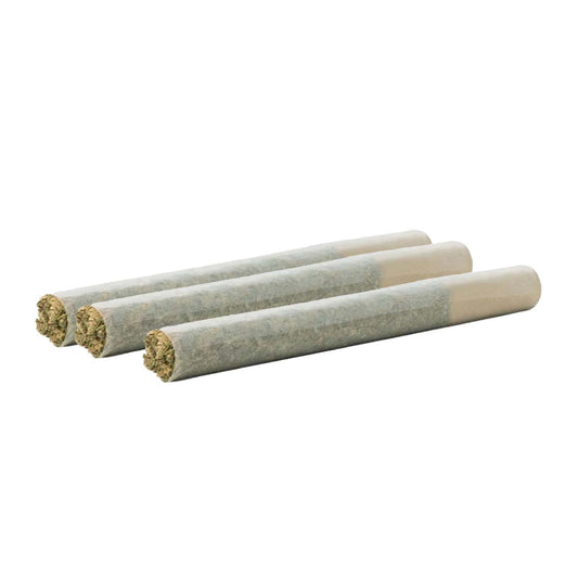 Valhalla Pre-Rolls-01
