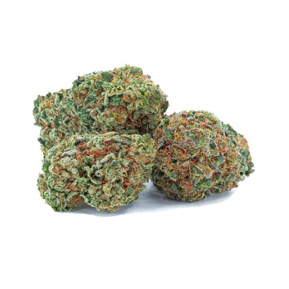 Organic Maple Kush-01
