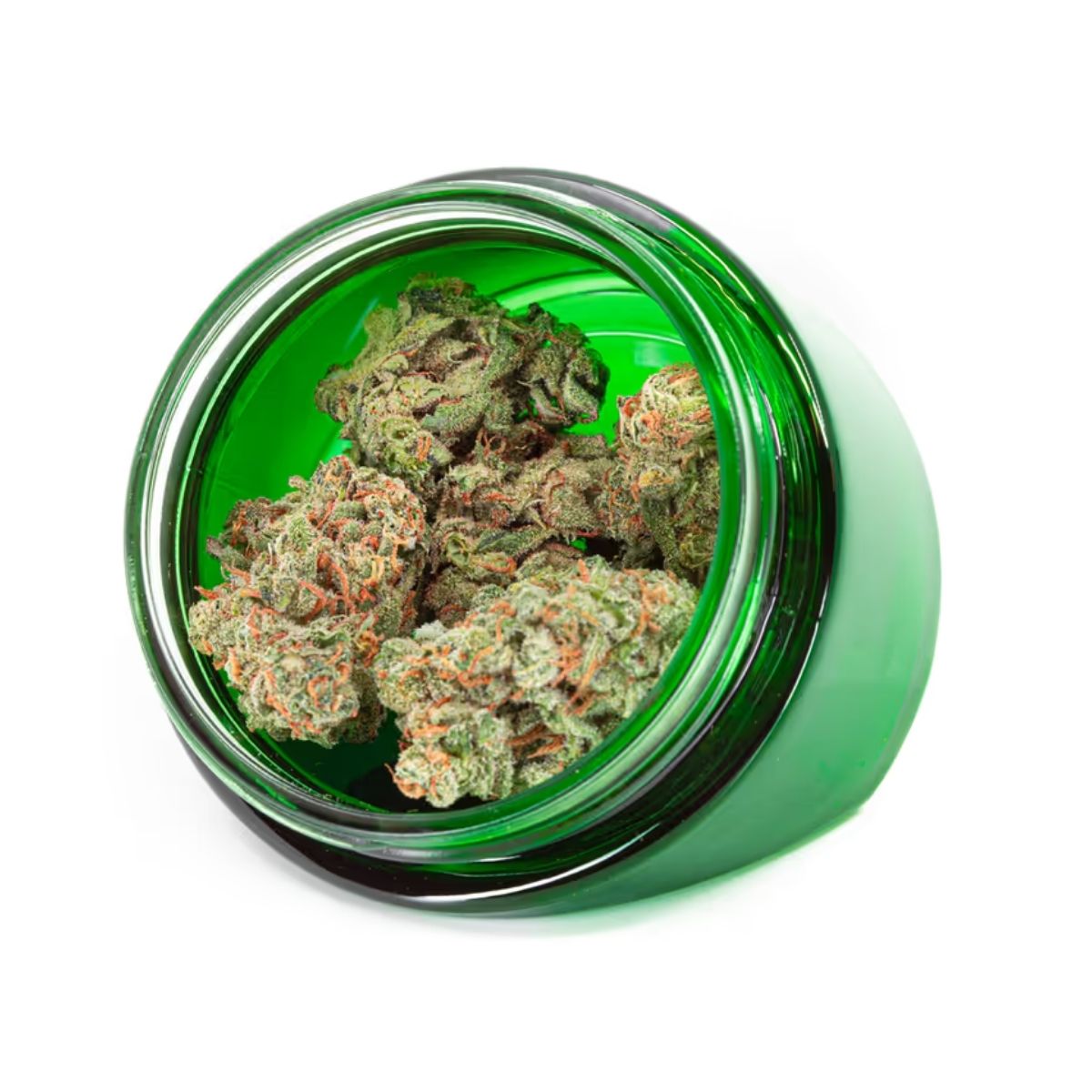 Organic Sugar Bush-02