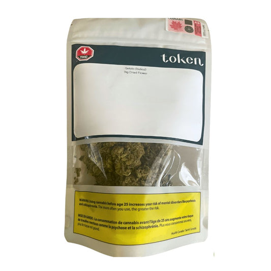 Gelato-01