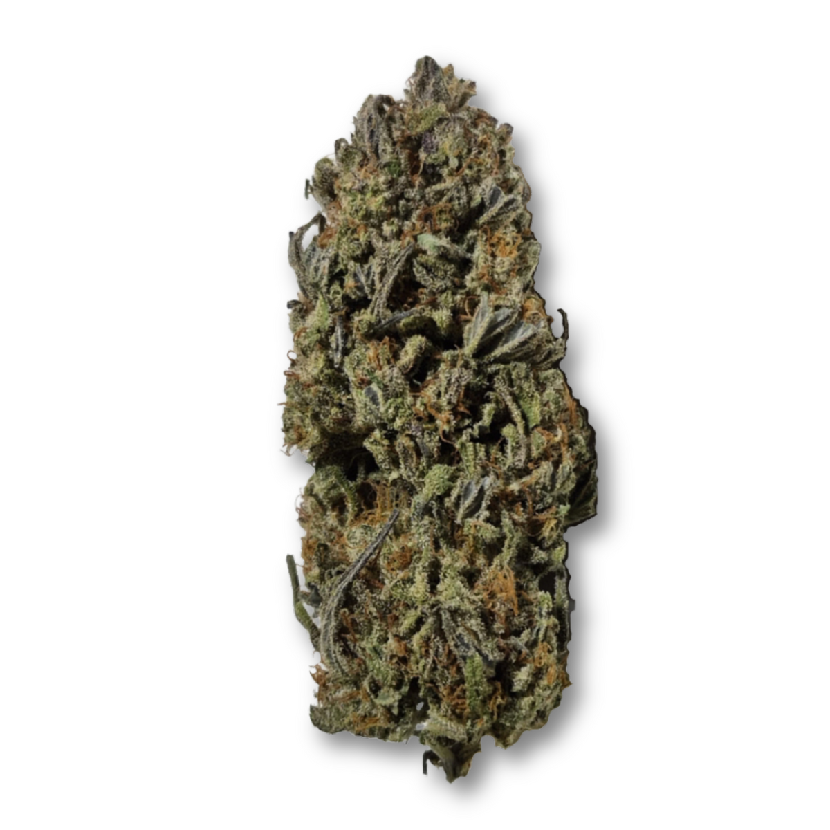 Sunset Kush-02