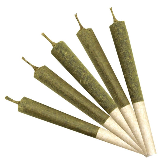 Durban Timewarp Pre-Rolls-01