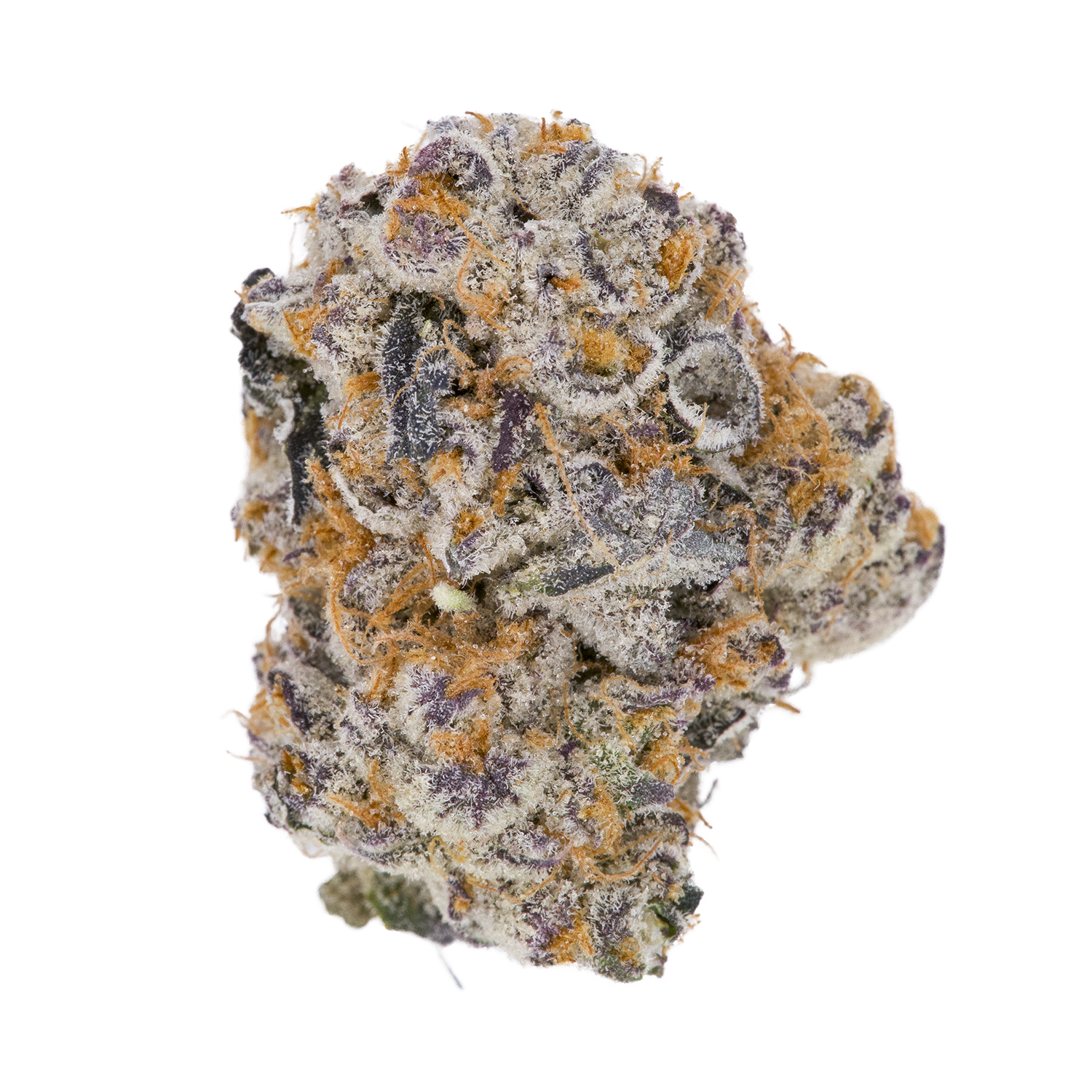 Casper Haze-01