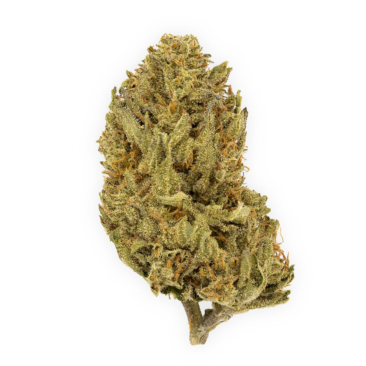 Apricot Kush-01