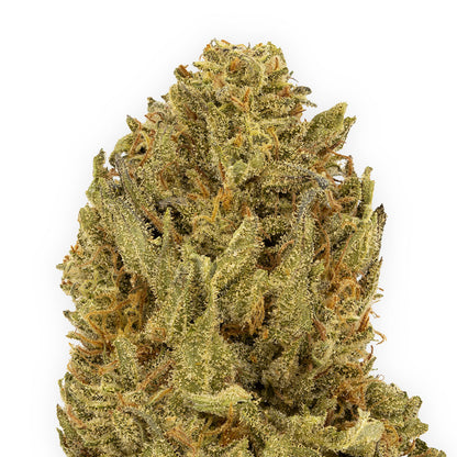 Apricot Kush-02