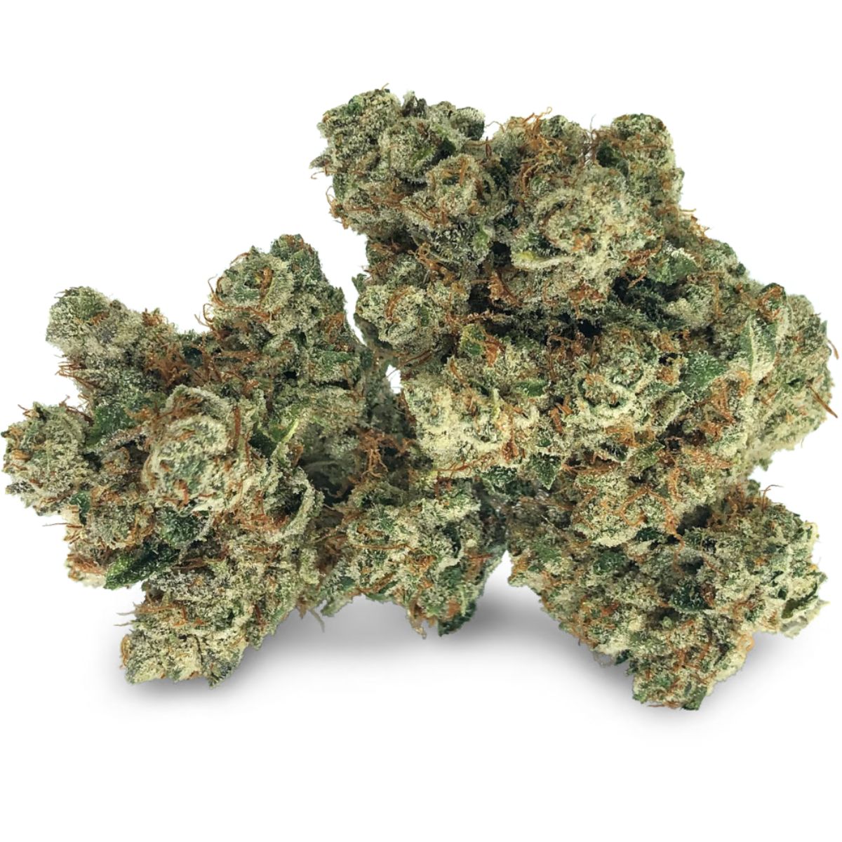 Nighttime Nirvana - Black Diamond-02