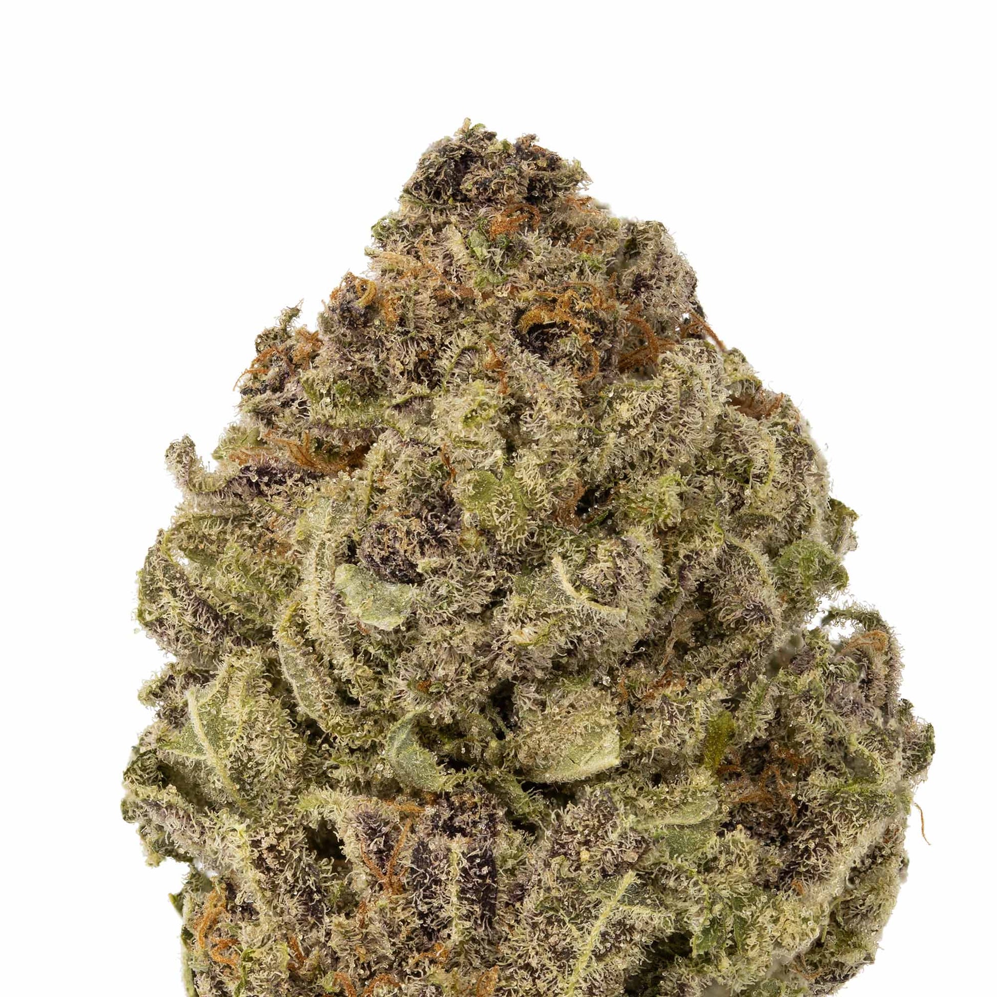 Blue Cheese-02