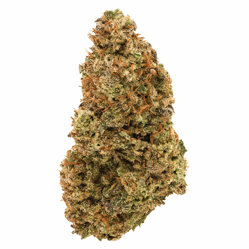 Organic Harlequin-01