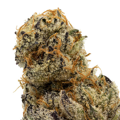 Naked Mummer Cactus Breath-02
