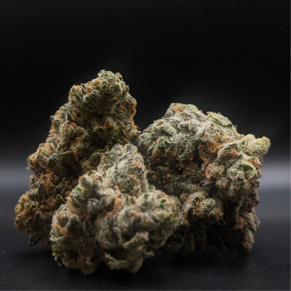 AAAA Cheerioz-02
