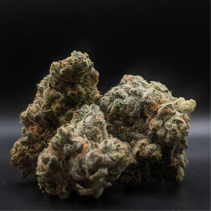 AAAA Cheerioz-02