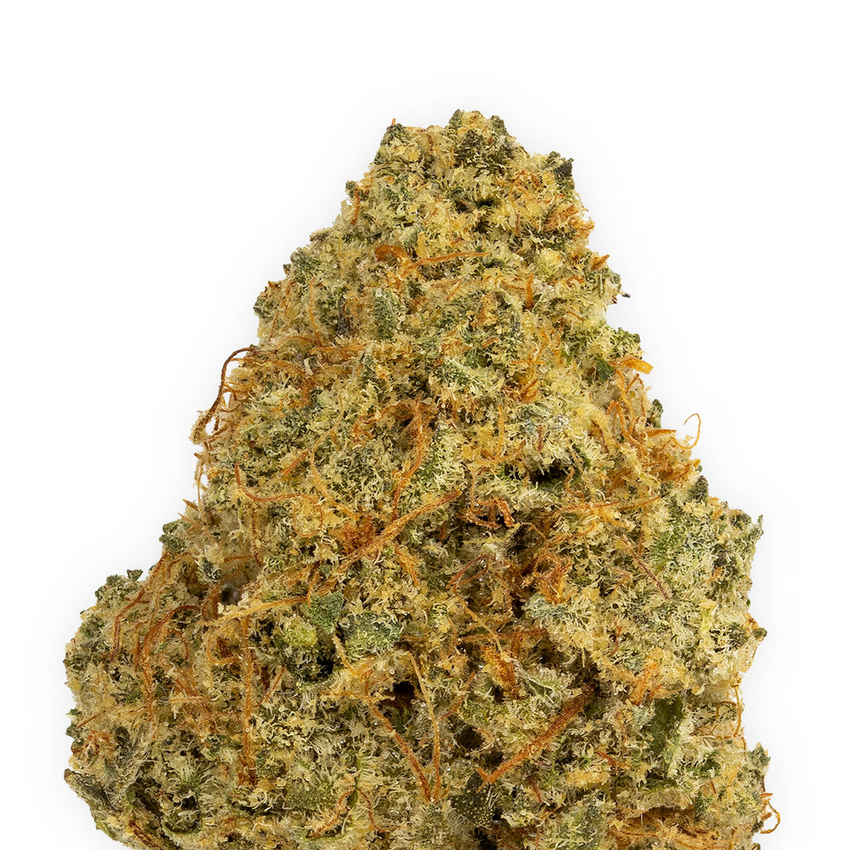 Cookies Gelato-02
