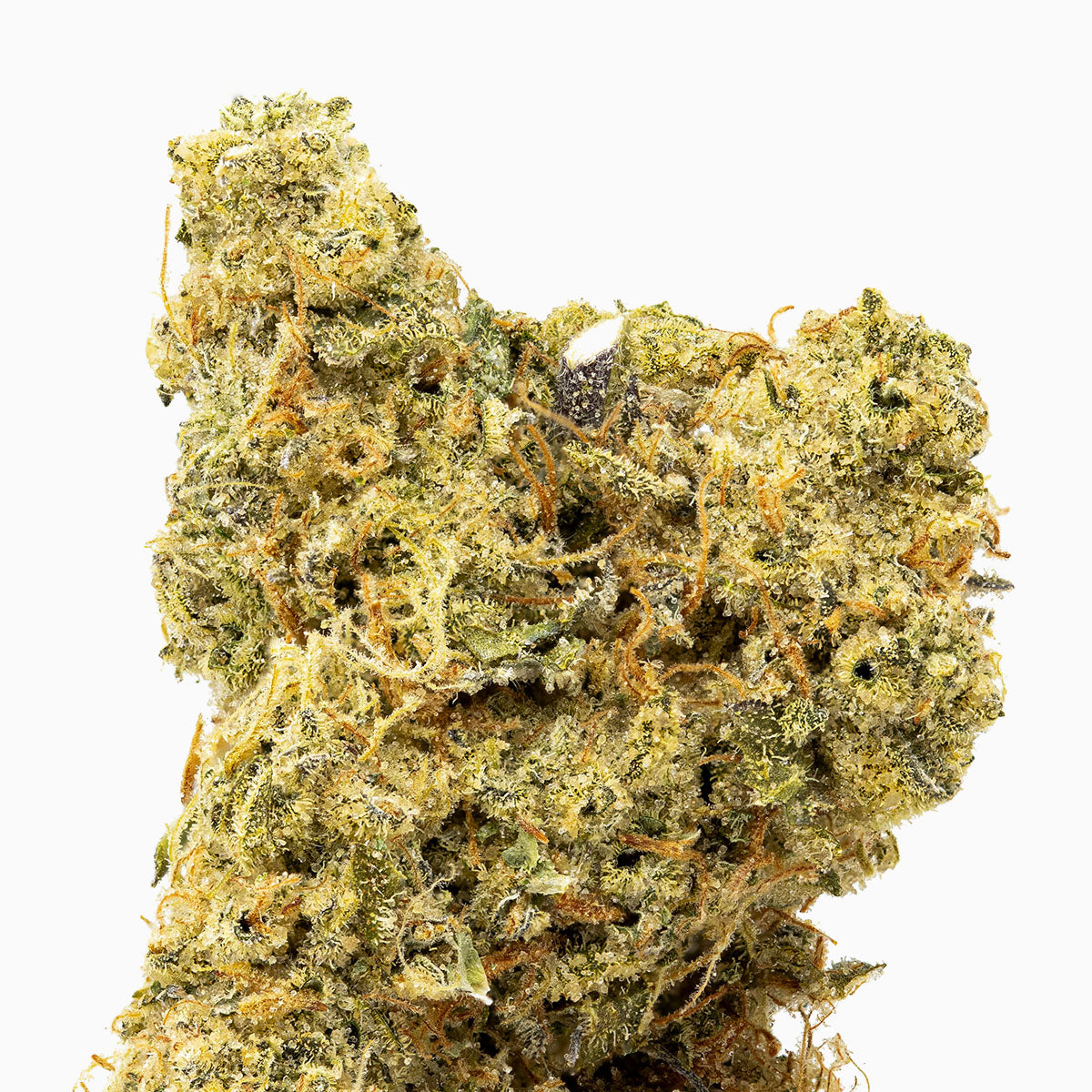 Red Barn Cosmic Funk/Space Cake-02