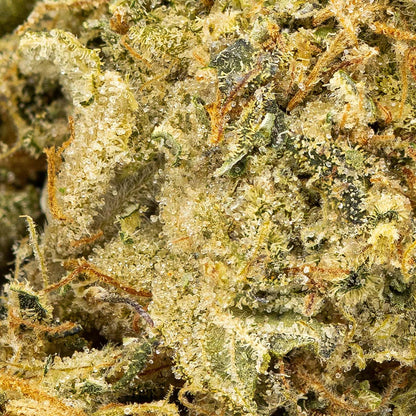 Red Barn Cosmic Funk/Space Cake-04