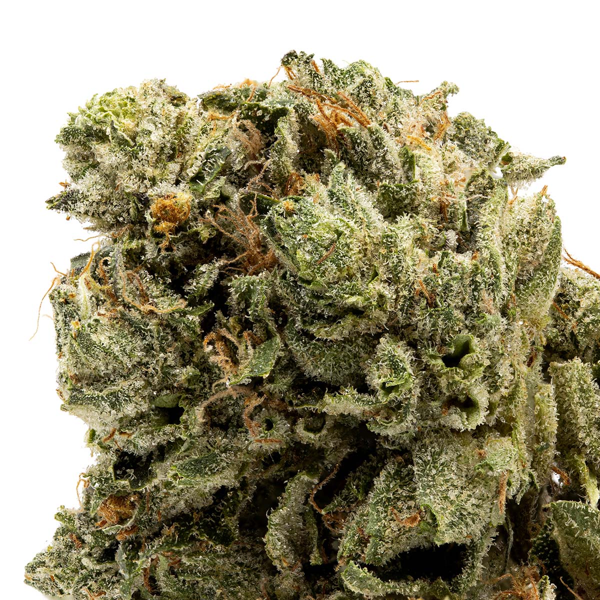 Death Bubba-02