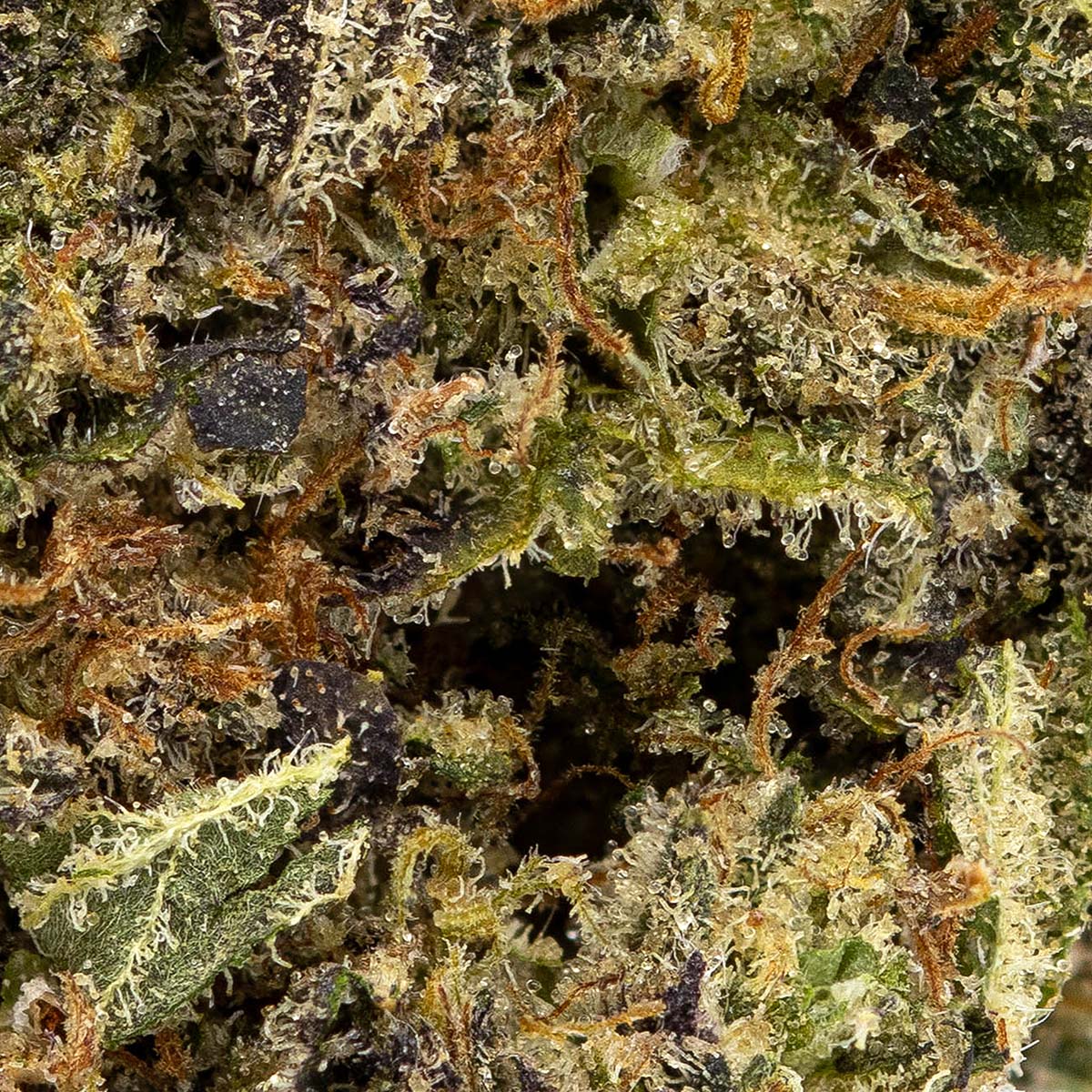 Farm Gas (Smalls)-03