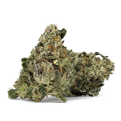 Frequent Flyer-01
