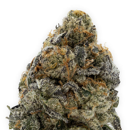 Grape Gasoline-02