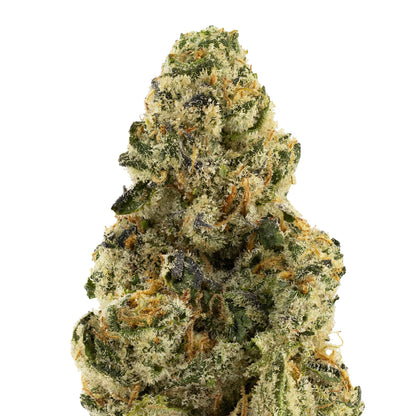 Grape Stank-03