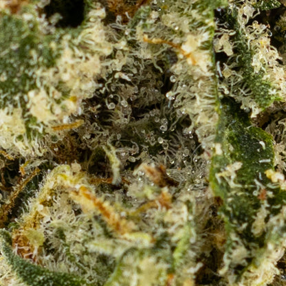 Grape Stank-04