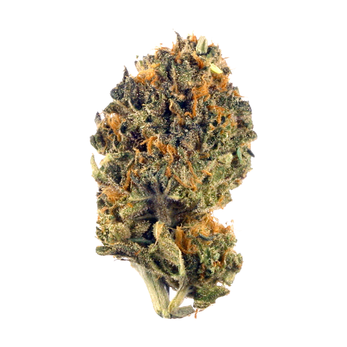 Grease Monkey-02
