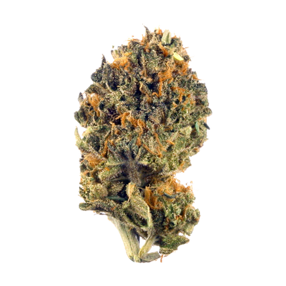 Grease Monkey-02