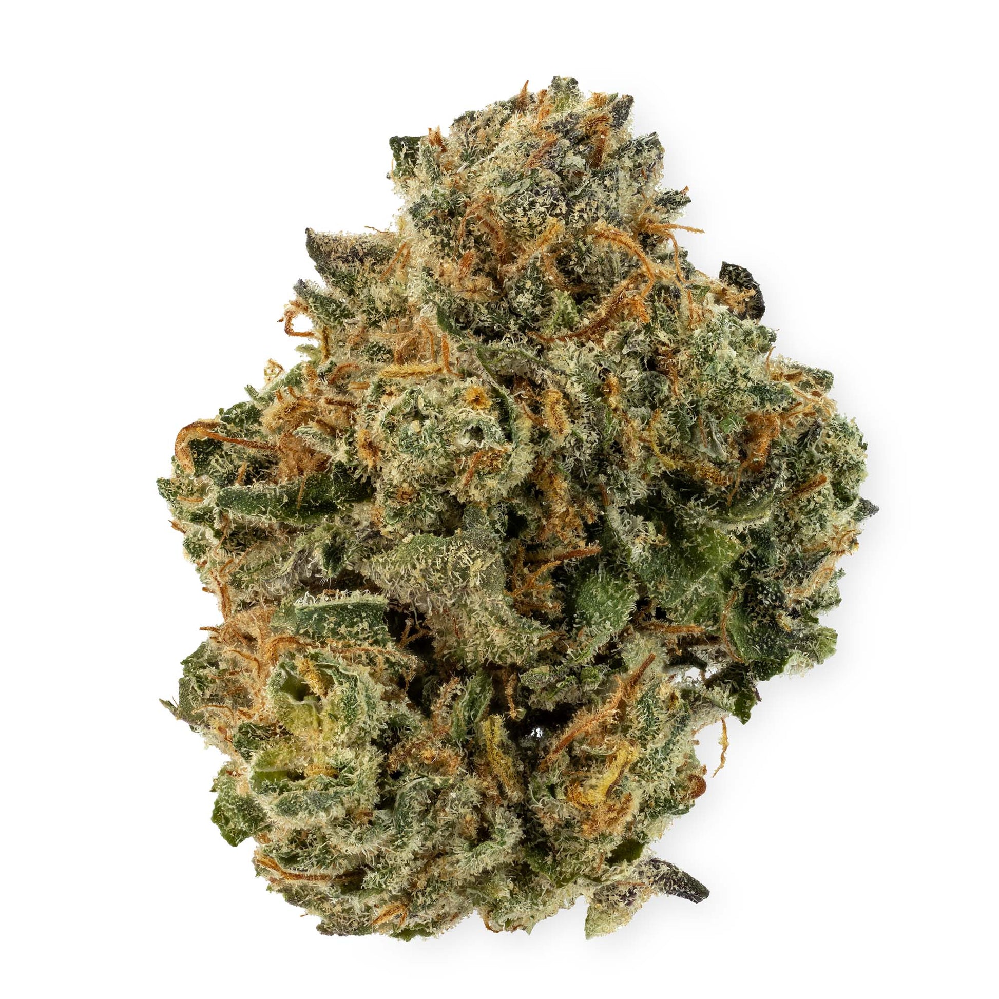 Nighttime Nirvana - Huckleberry Pie-02