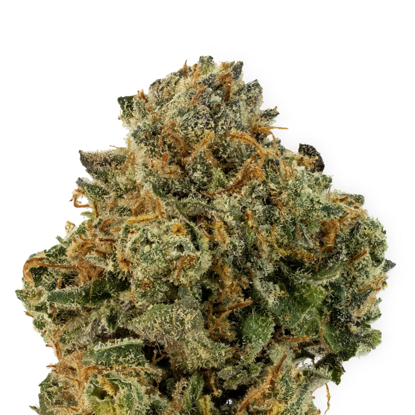 Nighttime Nirvana - Huckleberry Pie-03