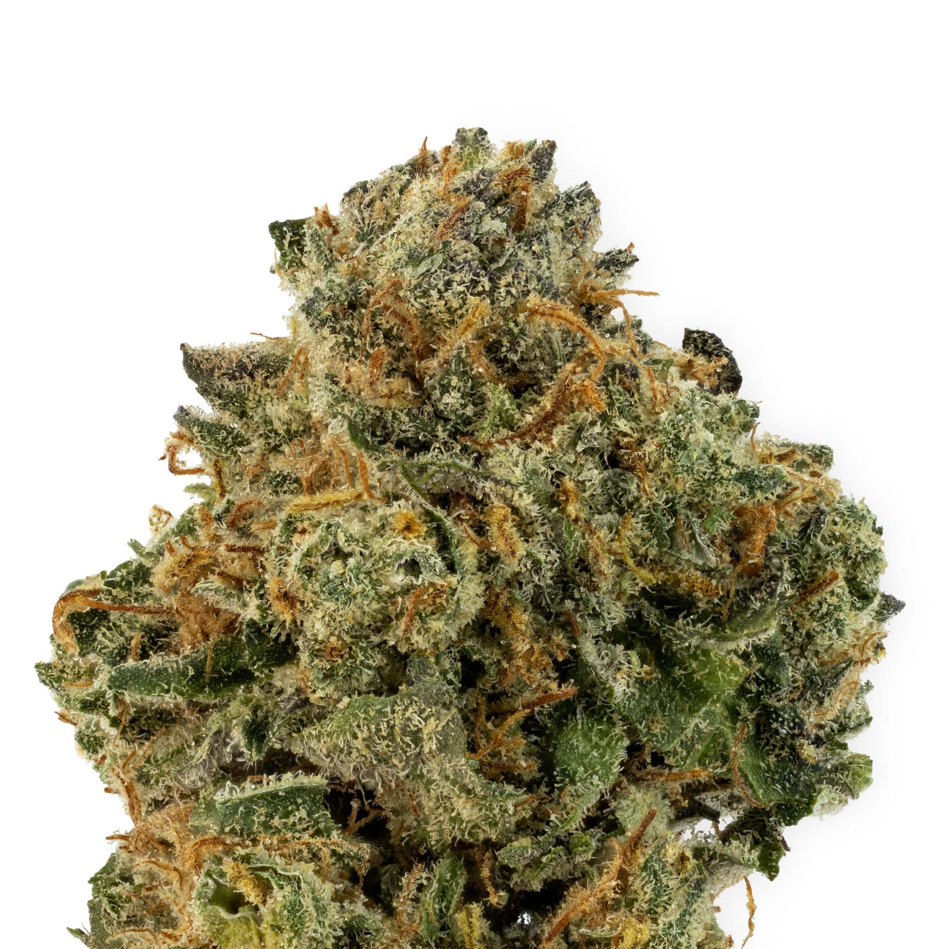 Nighttime Nirvana - Huckleberry Pie-03