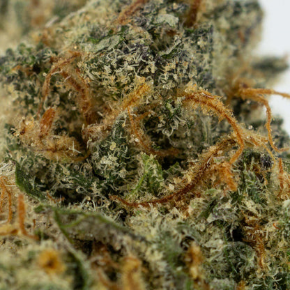 Nighttime Nirvana - Huckleberry Pie-04