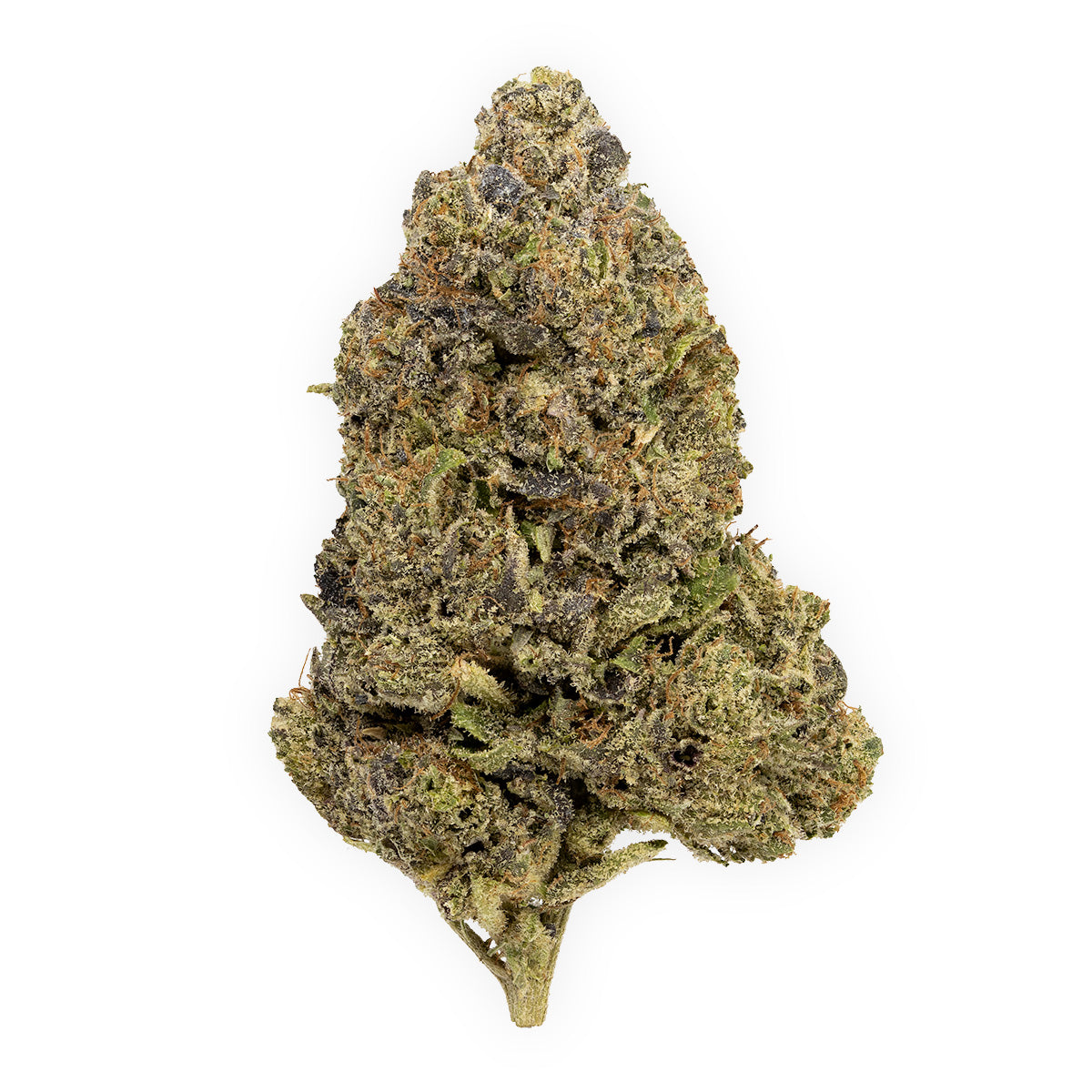 Nighttime Nirvana - Jelly Breath-02