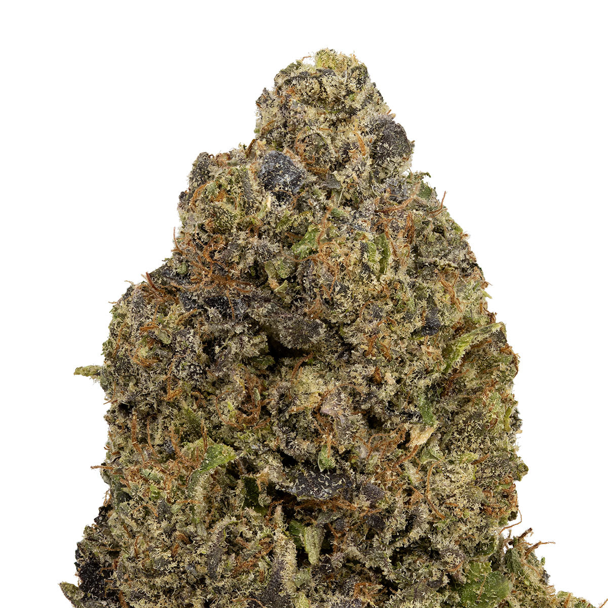 Nighttime Nirvana - Jelly Breath-03