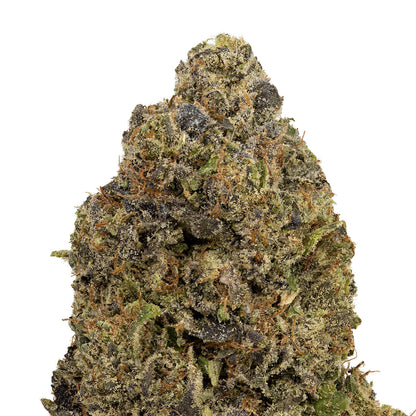 Nighttime Nirvana - Jelly Breath-03