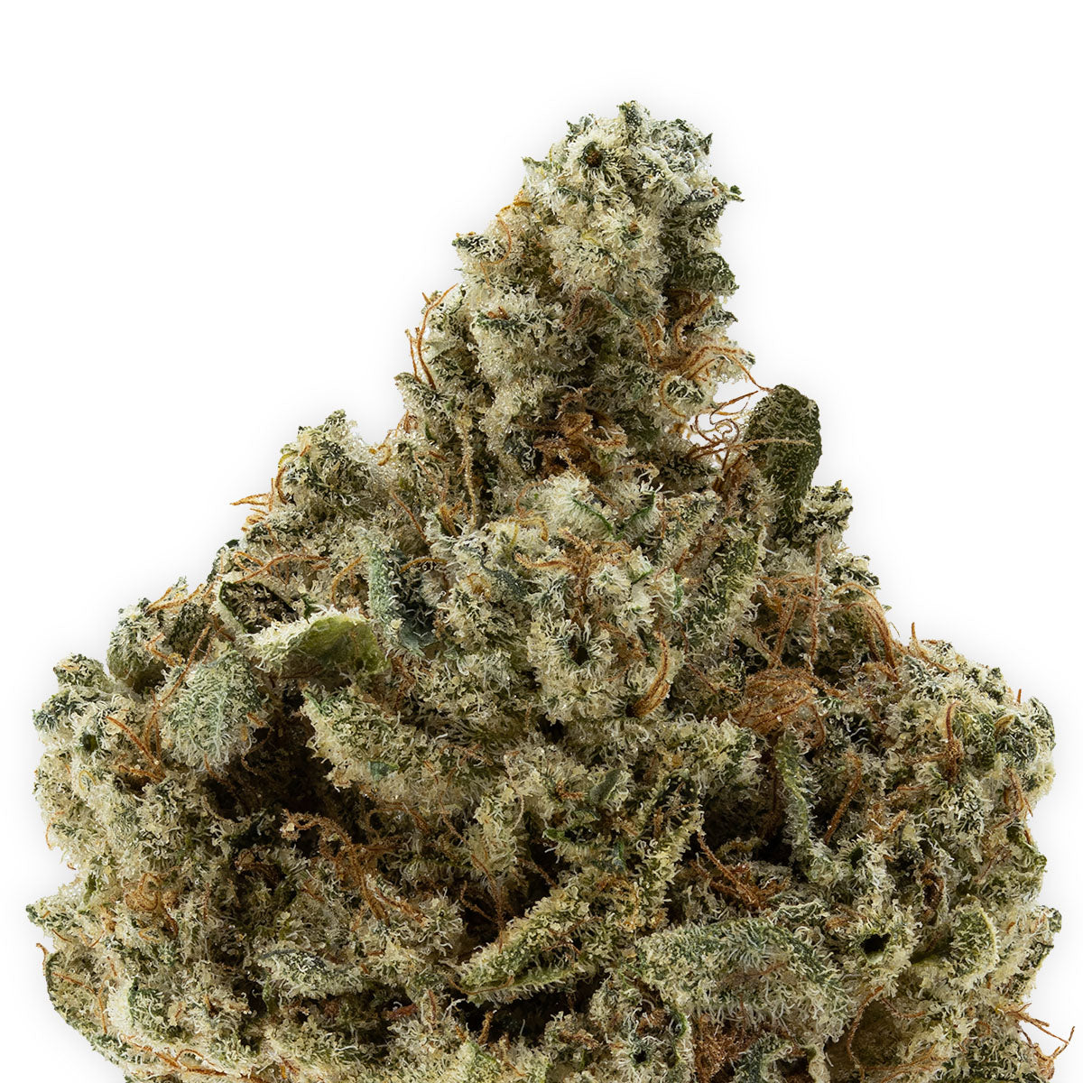 Jet Fuel-02