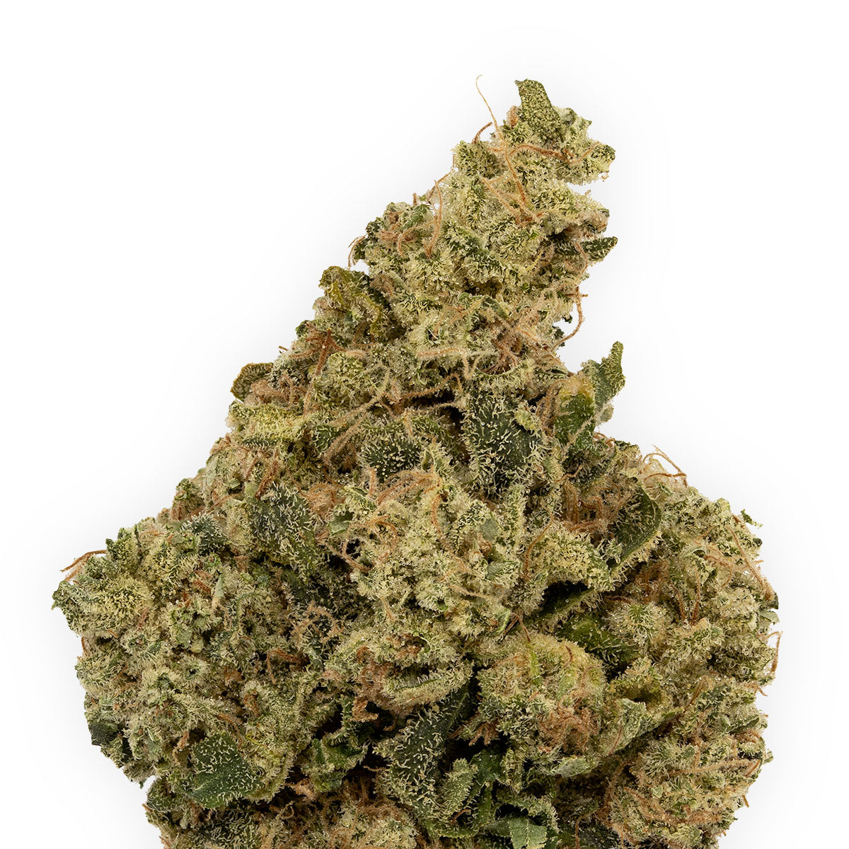Kosmic Kush-02