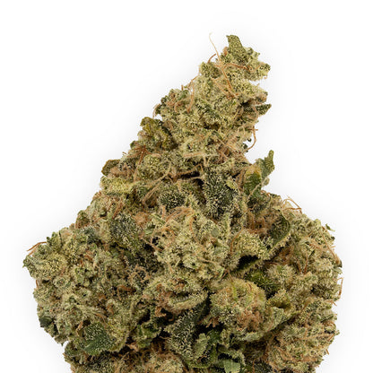 Kosmic Kush-02