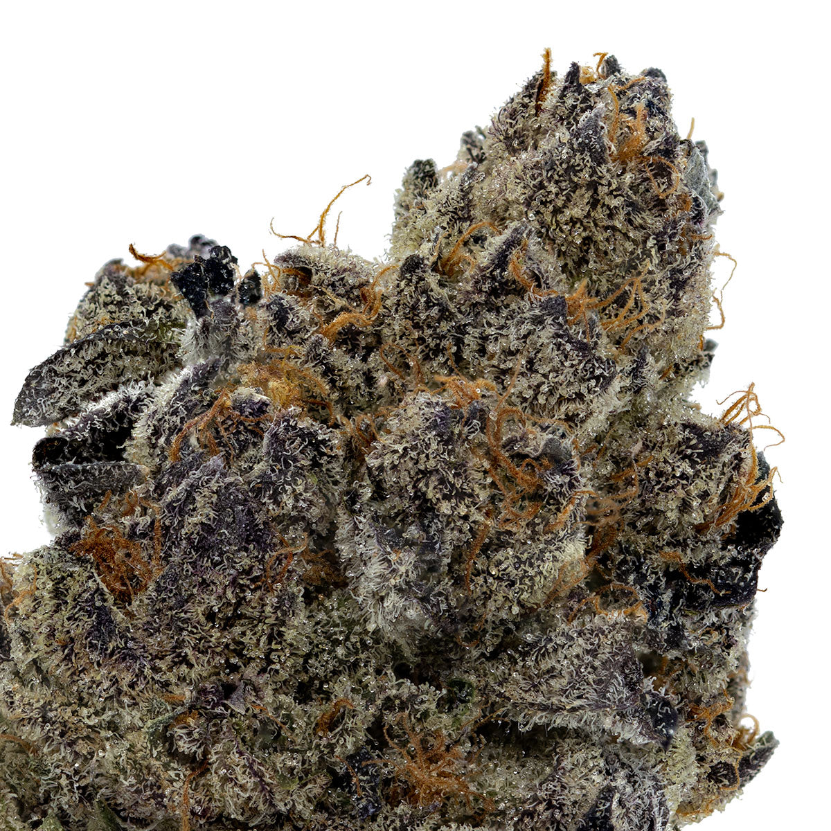Naked Mummer Kush Sorbet-02